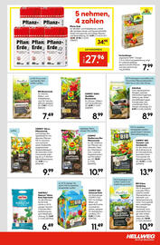 Hellweg Flugblatt woche 25 Seite 19