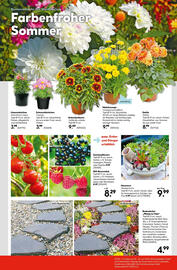Hellweg Flugblatt woche 25 Seite 21