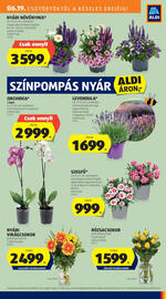 ALDI akciós újság hét 25 Oldal 27
