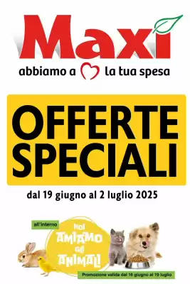Volantino Maxi Supermercati (valido fino al 2-07)