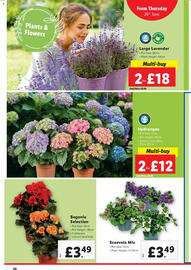 Lidl leaflet week 26 Page 20