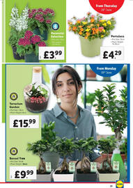 Lidl leaflet week 26 Page 21