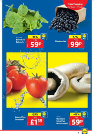 Lidl leaflet week 26 Page 3