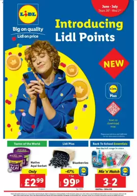 Lidl leaflet (valid until 2-07)