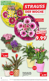 Kaufland Prospekt woche 25 Seite 16