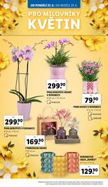 Lidl leták Strana 32
