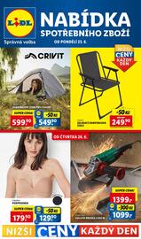 Lidl leták týden 26 Strana 1