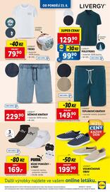 Lidl leták týden 26 Strana 9