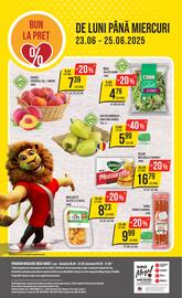 Catalog Mega Image săptămâna 25 Pagină 24