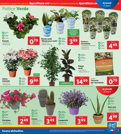 Volantino Lidl settimana 26 Pagina 19