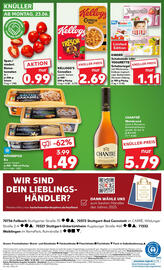 Kaufland Prospekt woche 25 Seite 44