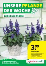 Hagebau Prospekt woche 25 Seite 1
