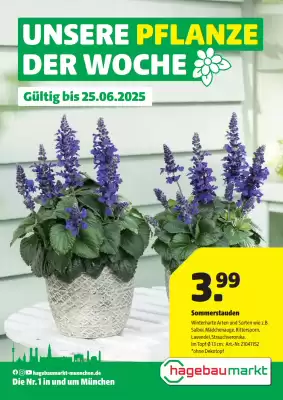 Hagebau Prospekt (gültig bis 26-06)