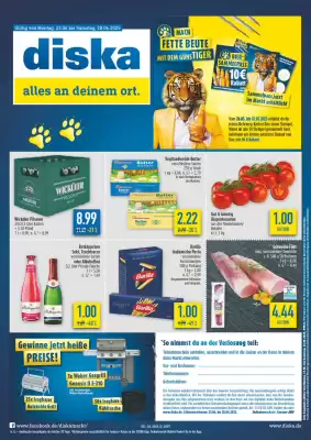 diska Prospekt (gültig bis 28-06)