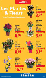 Catalogue Lidl semaine 26 page 29