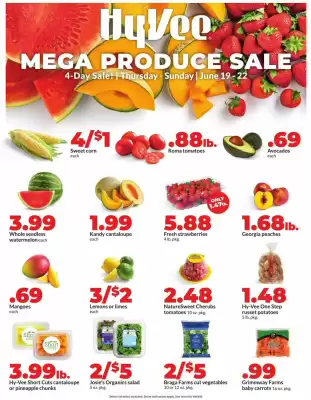 Hy-Vee Weekly Ad (valid until 22-06)