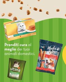 Volantino Splendidi e Splendenti Pagina 2