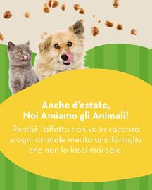 Volantino Splendidi e Splendenti Pagina 3
