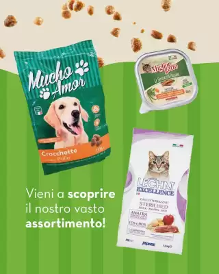 Volantino Splendidi e Splendenti (valido fino al 30-06)