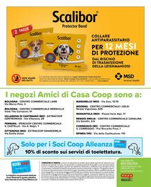 Volantino Amici Di Casa Coop Pagina 12
