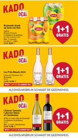 Proxy Delhaize folder week 25 Pagina 22