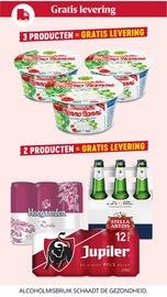 Proxy Delhaize folder week 25 Pagina 3