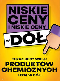 Delikatesy Centrum gazetka tydzień 26 Strona 32