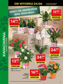 Delikatesy Centrum gazetka tydzień 26 Strona 7