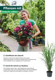 BayWa Flugblatt Seite 6