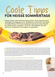 ZOO & Co Flugblatt Seite 10