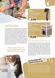 ZOO & Co Flugblatt Seite 11