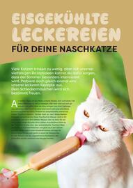 ZOO & Co Flugblatt Seite 12