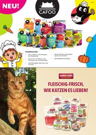 ZOO & Co Flugblatt Seite 14