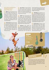 ZOO & Co Flugblatt Seite 17
