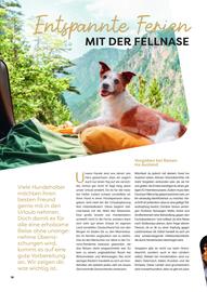 ZOO & Co Flugblatt Seite 18