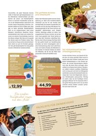 ZOO & Co Flugblatt Seite 19