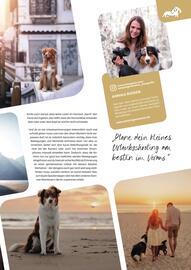 ZOO & Co Flugblatt Seite 21