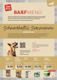 ZOO & Co Flugblatt Seite 25