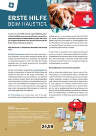 ZOO & Co Flugblatt Seite 30