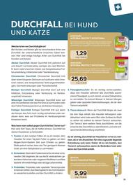 ZOO & Co Flugblatt Seite 31