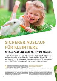 ZOO & Co Flugblatt Seite 34