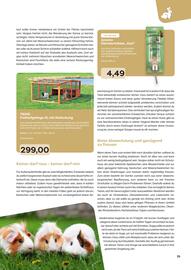 ZOO & Co Flugblatt Seite 35