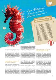 ZOO & Co Flugblatt Seite 37
