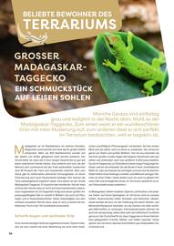 ZOO & Co Flugblatt Seite 38