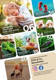 ZOO & Co Flugblatt Seite 4