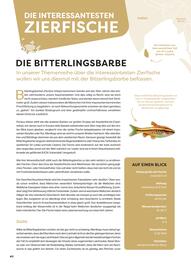ZOO & Co Flugblatt Seite 40