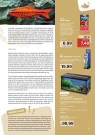ZOO & Co Flugblatt Seite 41