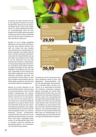 ZOO & Co Flugblatt Seite 44