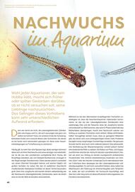 ZOO & Co Flugblatt Seite 46