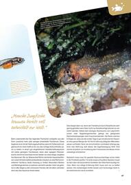 ZOO & Co Flugblatt Seite 47